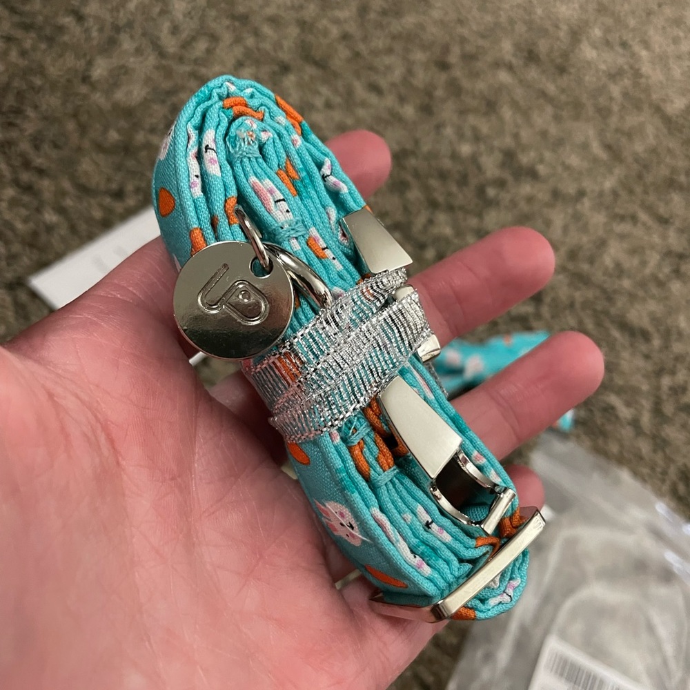 Cute dog collar!🐾